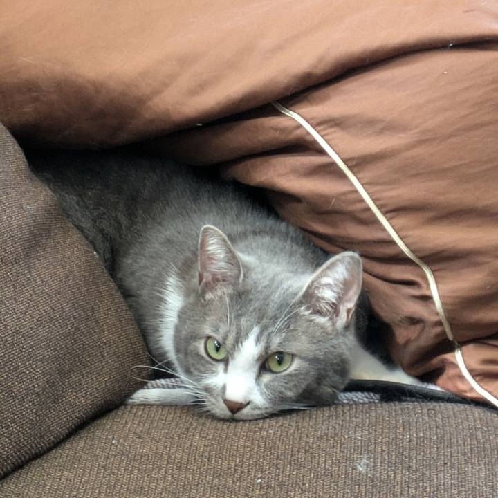 14fc8078 39fb 429f 8330 f84e0eb029fe 1727829001158