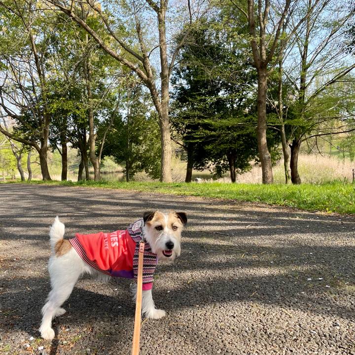 14fcb10a 8319 4eda ba7f c0eb2ac09a28 1680594440190