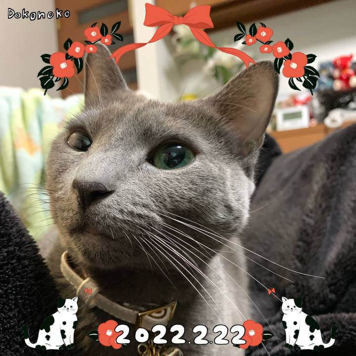 14fcb25f 9f5e 4ee8 817a 8f722e455f38 1645519029599