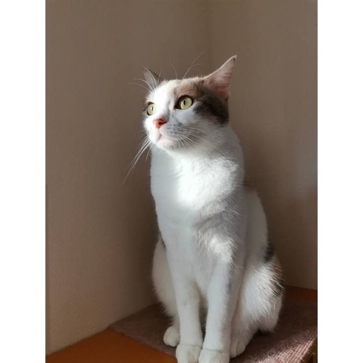 14fcb9b9 48f3 4bbc bec8 f1c637e18e9a 1634987301347