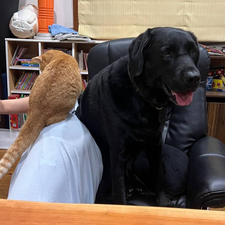 14fcd1fb 5fd4 44b7 8d9b fe954f938de6 1760247357921