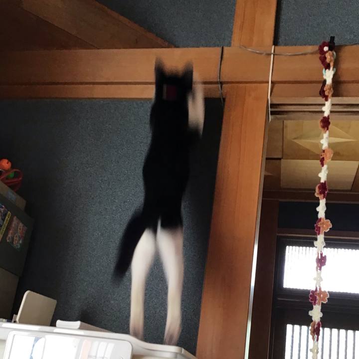 14fced62 43d3 4471 8250 934bc7a12133 1630372477072