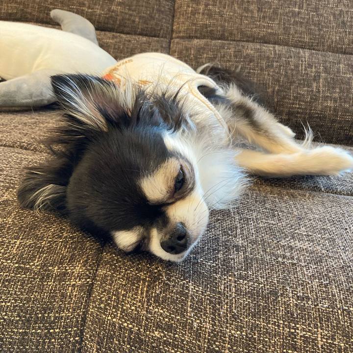 14fcf3dd afbb 4227 8d37 366fa99bf309 1707578235309