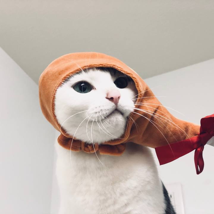 14fcfb1c d0d3 4893 aeda 57aadc4a4b86 1544137123549