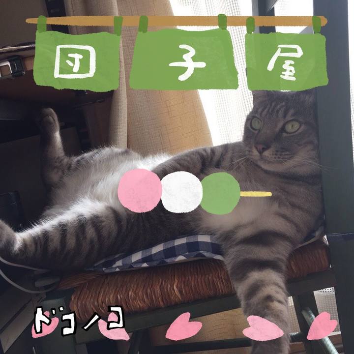 14fd07a0 10f0 456e 8b4a 5c10043781d6 1712370531167