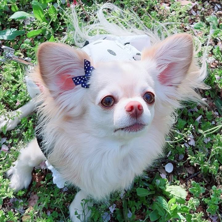 14fd1538 e3b8 40b8 a6e2 01c671520e36 1713083903843