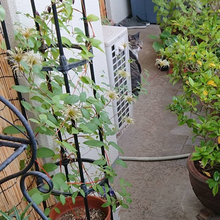 14fd7e7b 6382 4ab4 a704 020a55da57f4 1560121629369