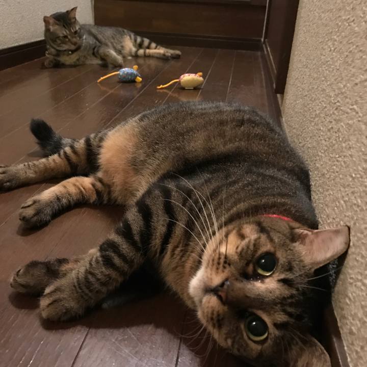 14fd8eb7 b432 4d7a b7eb f83f3af2f486 1548858190906