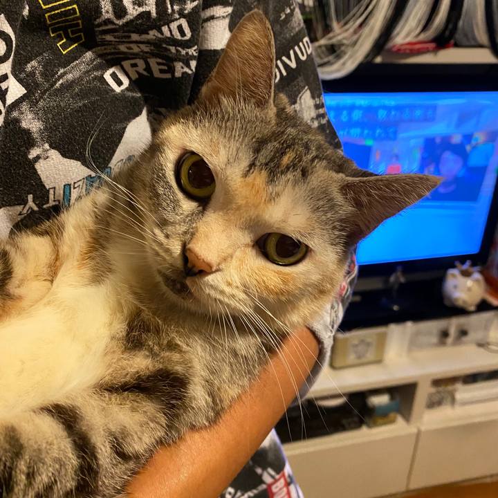 14fd9037 f1d5 4ce7 b3bd ad5254eced2b 1600784494153