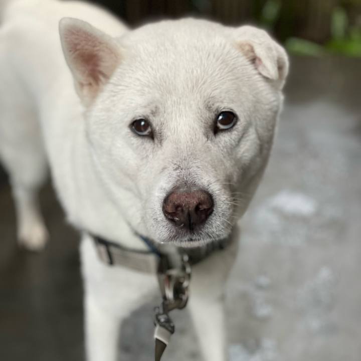 14fd9c5b f10b 4bb7 a7db 344d37fd3ca3 1741997912629