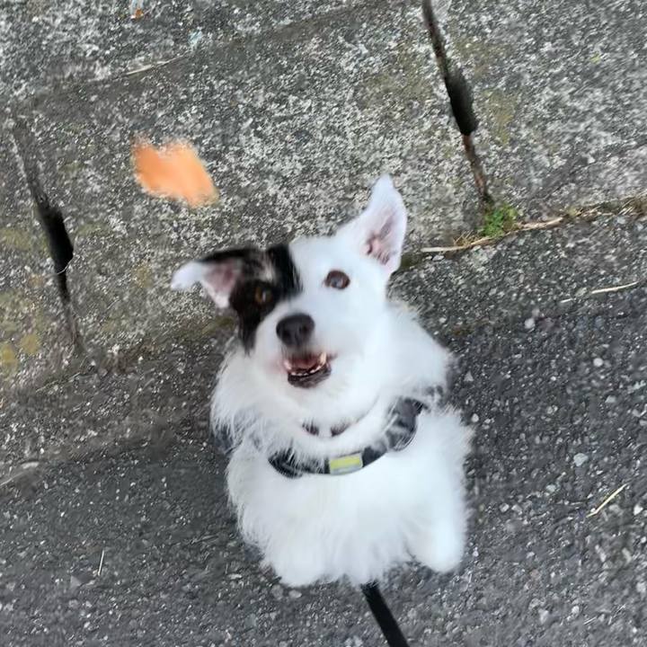 14fdb3c6 af3d 4a0f b896 aaf75c8b66a8 1751928899496