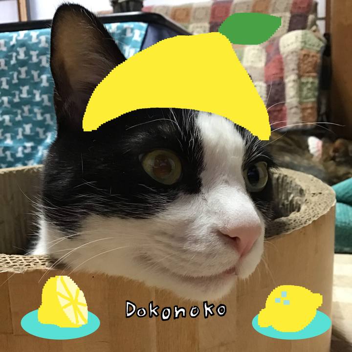 14fe269d 4fb6 4b96 9e78 1e118a28160f 1741088841577