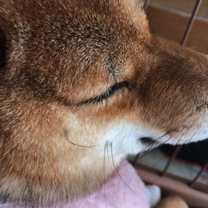 14fe661a e073 4d3e 8c0e 2c0b28dc7e6e 1517975365142