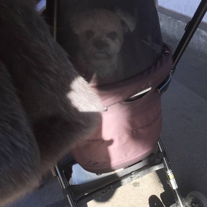 14fe8135 5bea 417b 8d0d 4128eb82733d 1512214859161