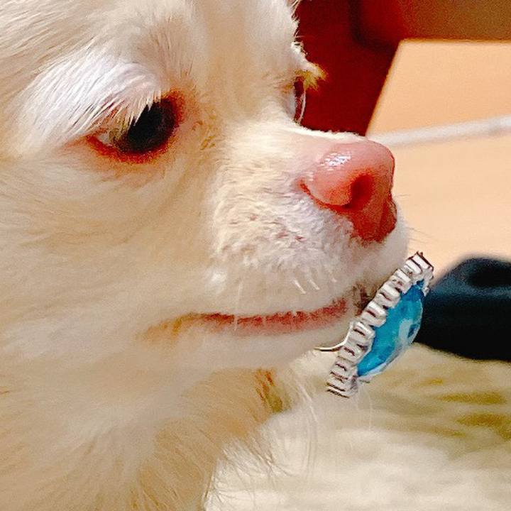 14feea35 b03e 48f5 bf63 899be1281854 1640244803275