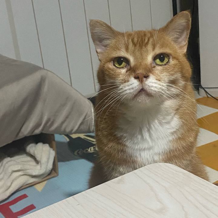 14fef665 a416 40b7 b9c9 5ca0e785291d 1719119604938