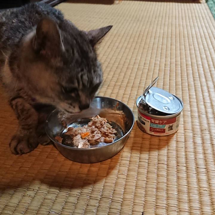 14ff0fd5 d18f 4ddf aaa0 214039194298 1598358449886