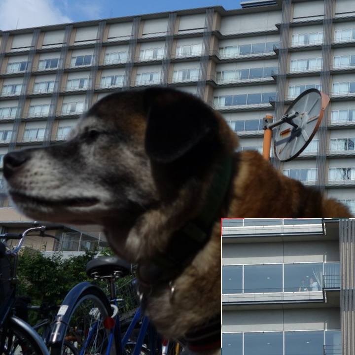 14ff2149 5dd1 450e 867a 1e05a0824837 1527132016291