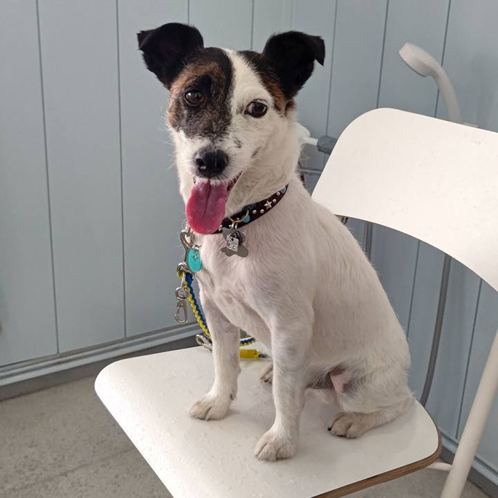 14ff4ae5 85ed 4dd1 9d38 00ec5461459f 1677319531525