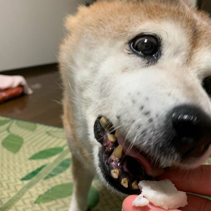 14ff4fc8 01cf 44f5 93b8 8b20c02004b5 1625229313713