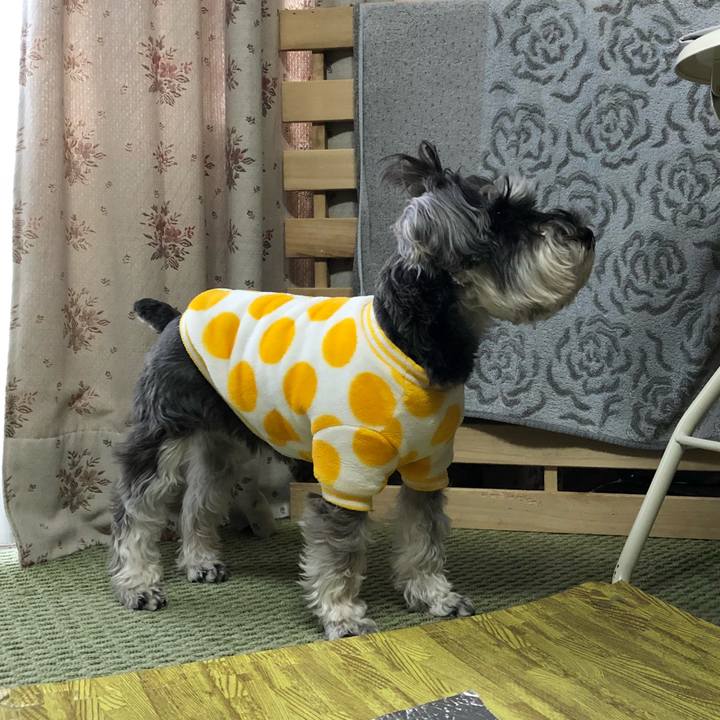 14ff5f58 9483 4dba a243 636384c65c84 1521612138841