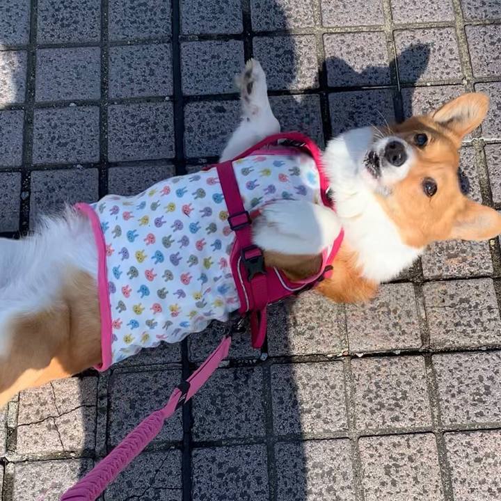 14ff86e5 6f8b 4775 b8d2 478742cb5293 1644553288171