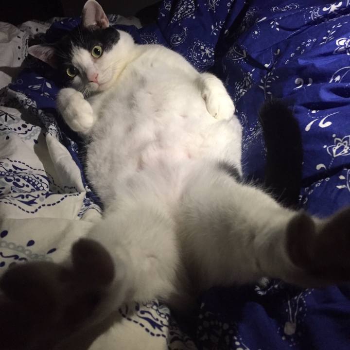 14ff9fe8 5e95 40fa 8bb5 fa255071f5d3 1517057925268