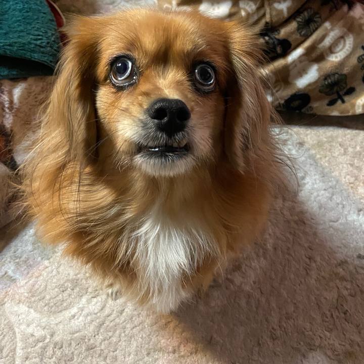 14ffad26 a58f 4924 8c63 f6320b579e9e 1670536623728