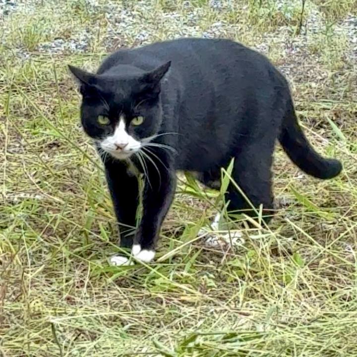 14ffd5b9 52bd 4519 b7d4 31e8360bc94a 1759136017522