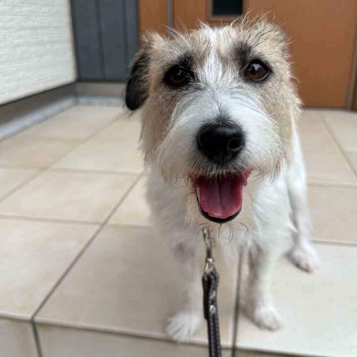 14ffeb7e f587 4508 b7ff 1f94377c68e3 1727748683213