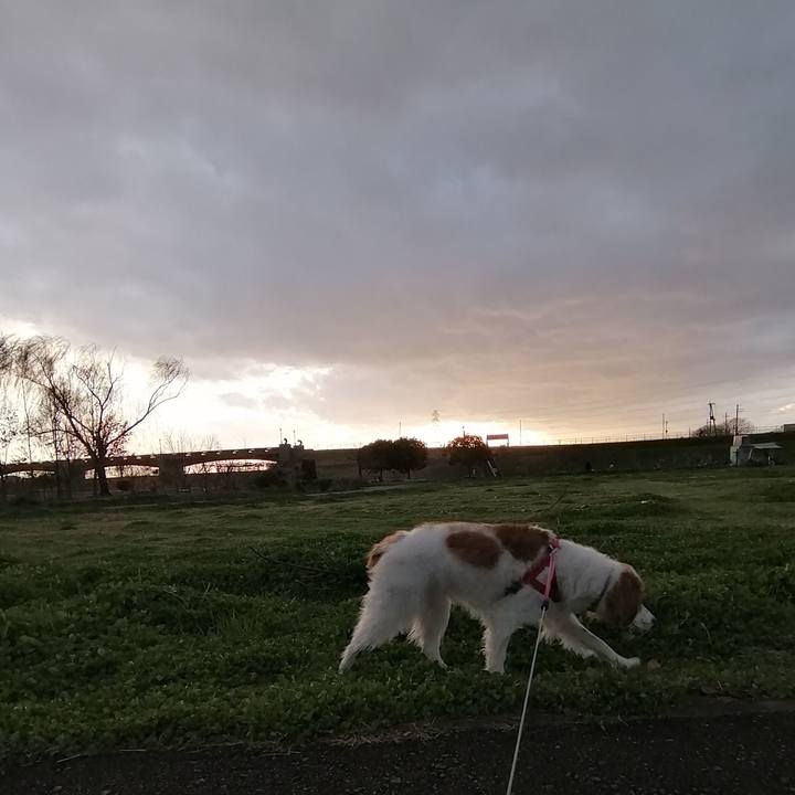 15002534 f1da 4e48 8b36 a1c78522bac4 1583916723307