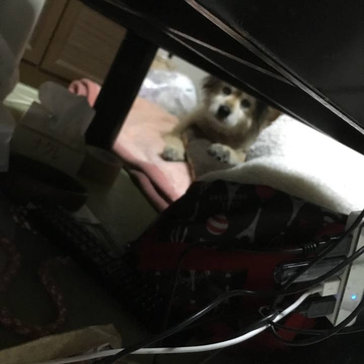 15006ac2 a63c 4858 8a92 27658a8cd434 1628748993892