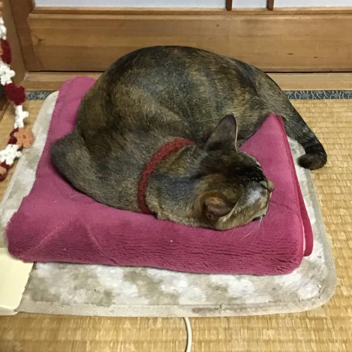 15007496 8ebe 40ed 88d9 a7bff05aad1c 1642500004409