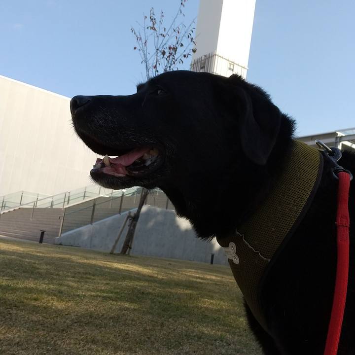 15007b69 7608 4053 a838 3bea34220e07 1691805269707