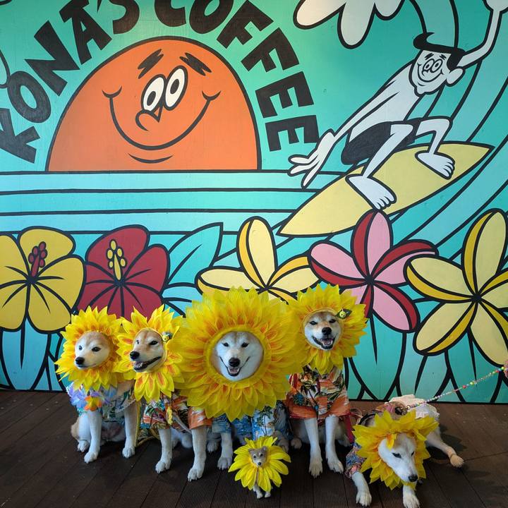 1500a5a5 8aec 4489 ad90 9fc9504d1bb2 1755911950649