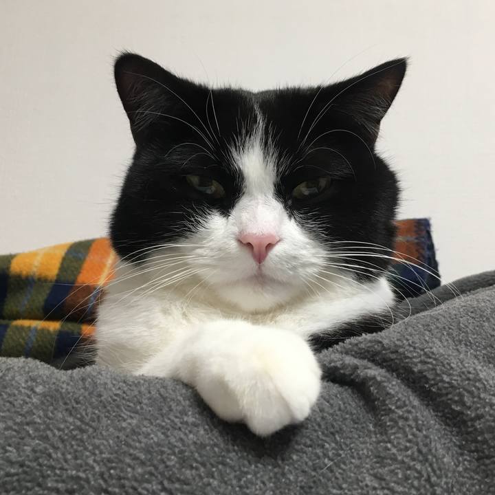 1500c810 77ad 44ea a1be 2c398ea25c49 1638314593311