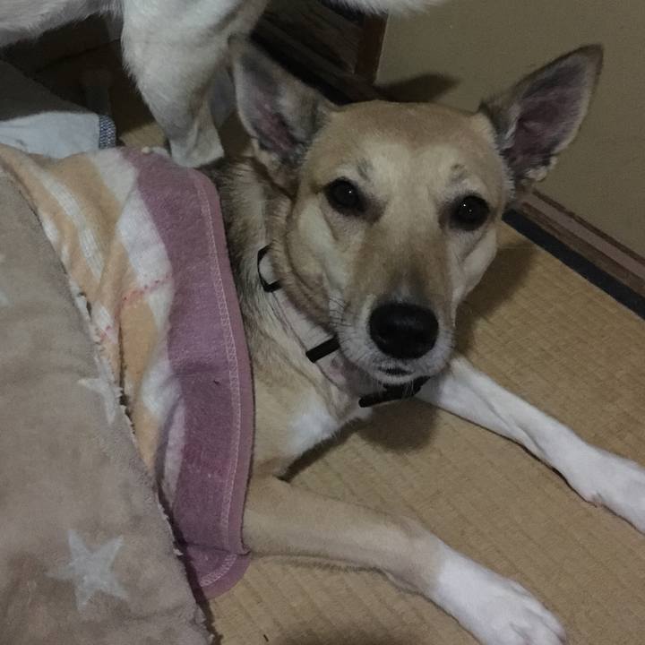 1500f38a 5b36 4212 9550 8aa7bd0734dc 1546087433293