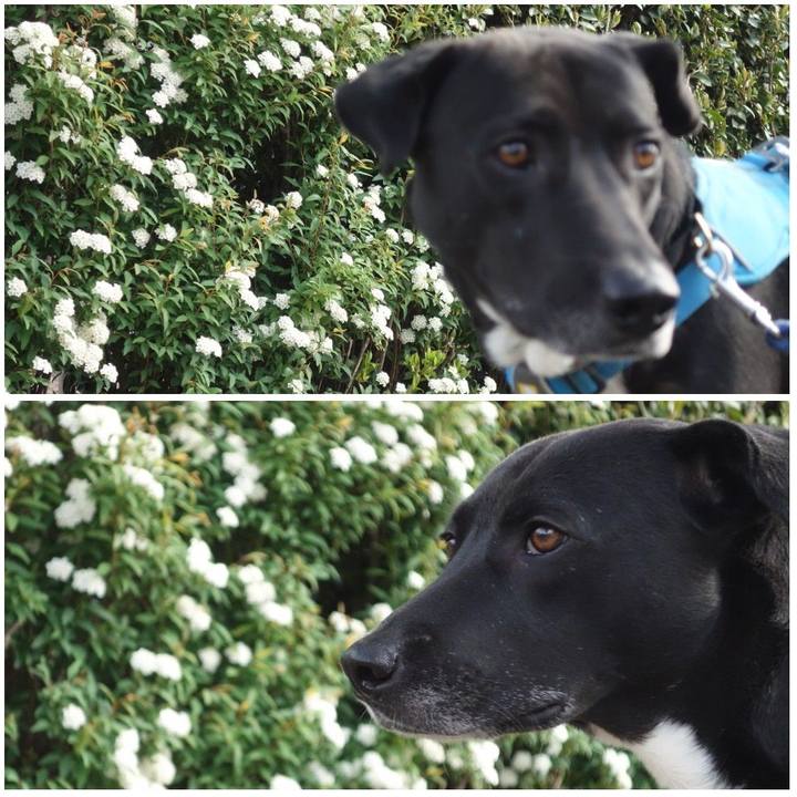 15010775 5cd9 43ce a630 6b296582a45c 1618535379817