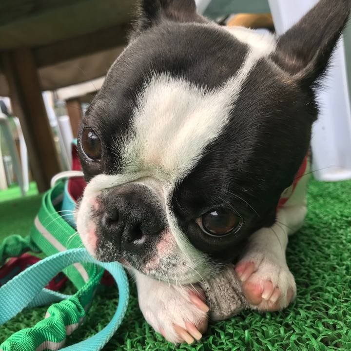 1501441a d462 4ecb 9bdc 26d715e3e18f 1538279296237