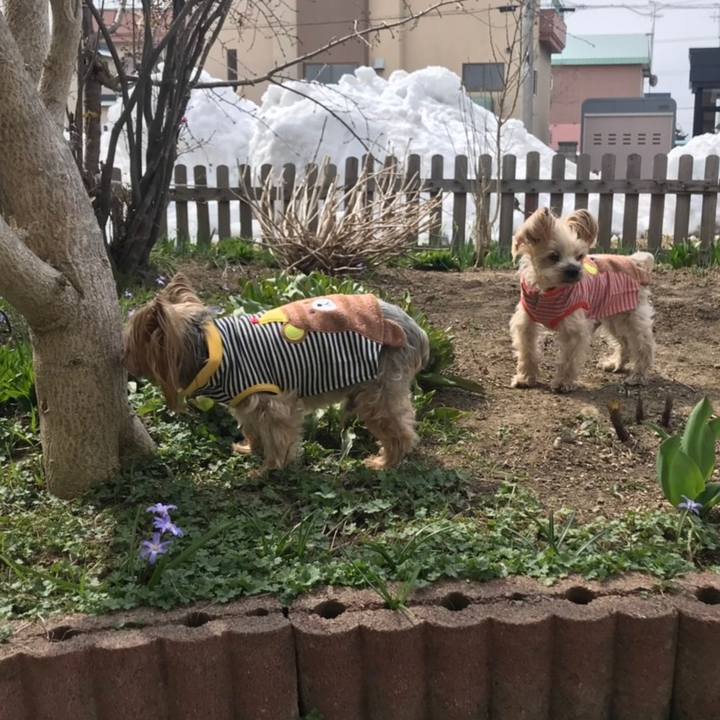 15015e6b 0c98 4ec0 84a4 375166d02ac4 1556102327388