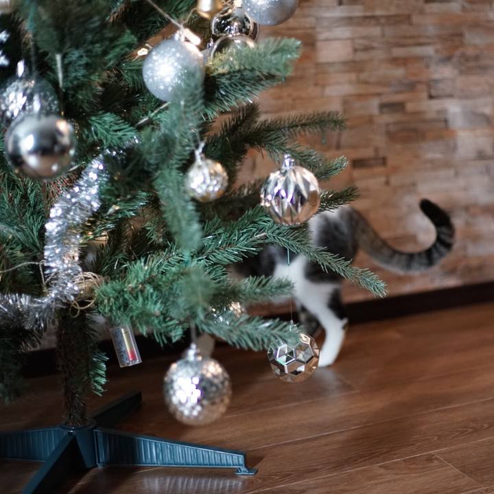 15018f69 b726 4568 a133 dbb45a2407f7 1514080744182