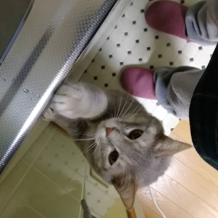 150202b9 ebbf 4097 a078 2c58c8b71373 1549502897760