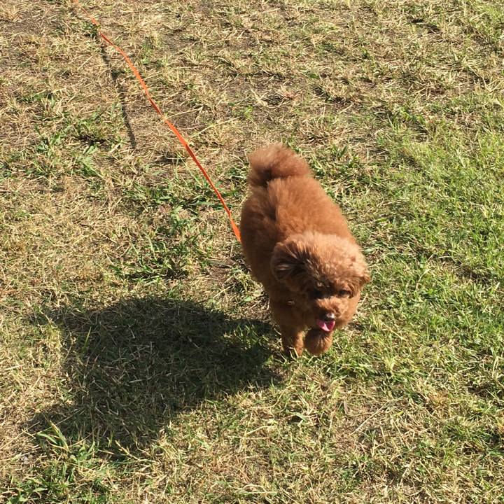 150206a7 853c 4a7d b35e b33e7e54edf4 1541214874982