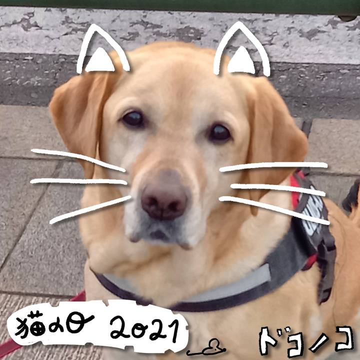 15022d8e 2bf5 4e7e a98e 009f1ae6141e 1613985995471