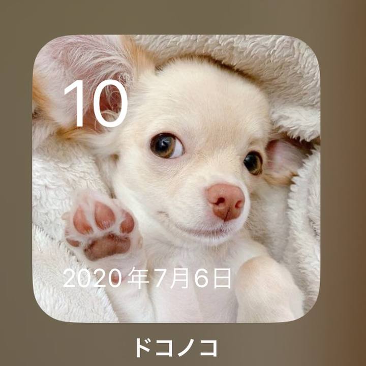 1502c748 b0e0 4080 b99c 0a271821539d 1688991373396