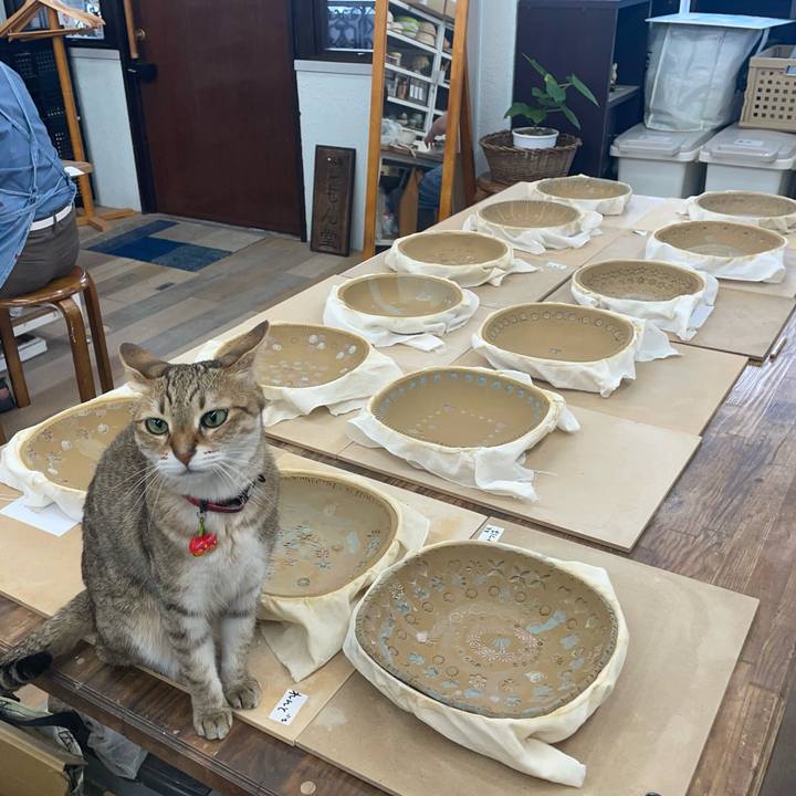 1502df1c 4863 4ba1 9188 5b56aeb1e6c8 1752360659573