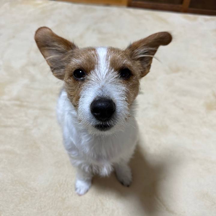 15030a5a 1099 45f4 b62b edb84b592c2b 1767735863822