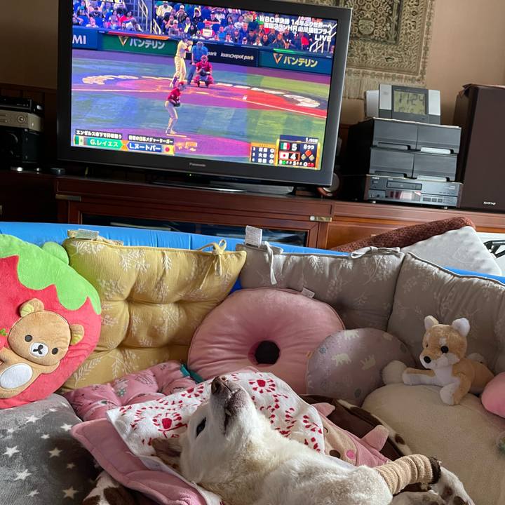 1503496c 6f21 43f3 80ae 1cd87464929f 1679368115457