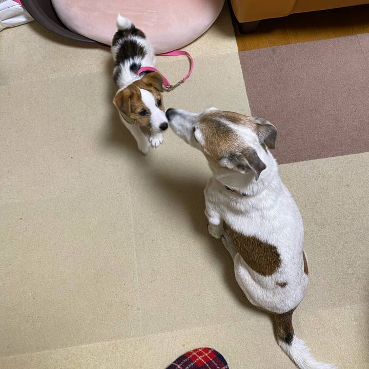 15037f04 d592 46d1 9749 603f68d73b6d 1612301674232