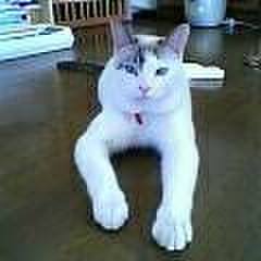 15039358 ee99 4e9b a15b 909bcc14e247 1522235491637